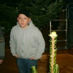 Christbaum-Krippe-Aufbau MaHi